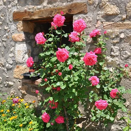 Molí De Fòrnols Apartamento *