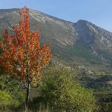 Moli De Apartment