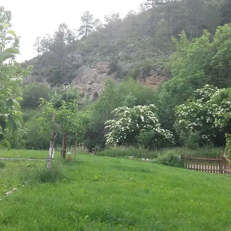 Moli De