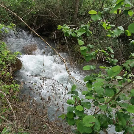 Moli De *